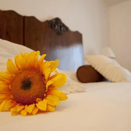 Hotel Boutique Corte Malaspina 2*